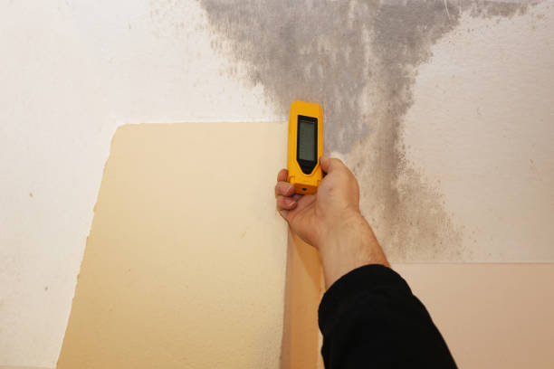 Best Forensic Mold Investigation  in Tennille, GA