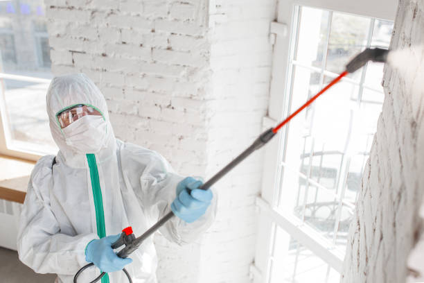 Best Comprehensive Air Testing for Mold Contaminants  in Tennille, GA