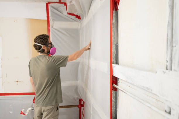 Mold Odor Removal Services in Tennille, GA