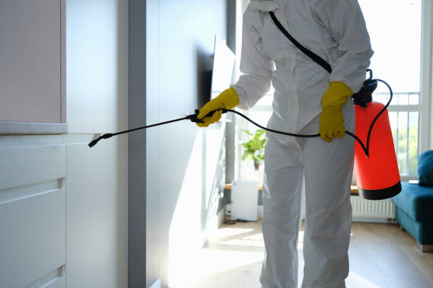Best Post-Construction Mold Inspection  in Tennille, GA