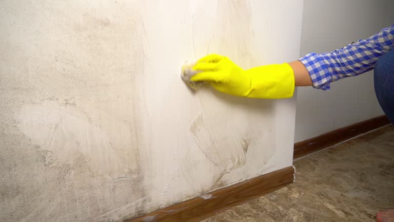 Best Mold-Related Health Consultation  in Tennille, GA