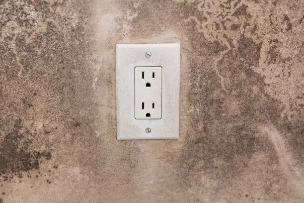 Best Mold Removal for HVAC Installations  in Tennille, GA