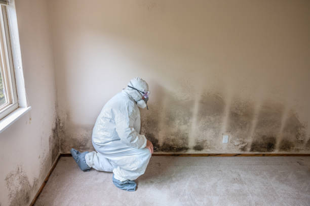 Best Air Quality Testing for Mold Spores  in Tennille, GA